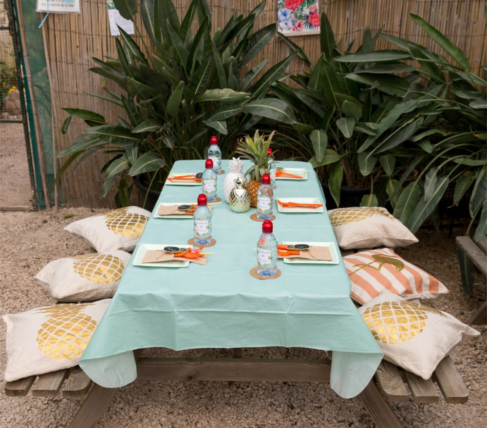 Tropical Party - Anniversaire